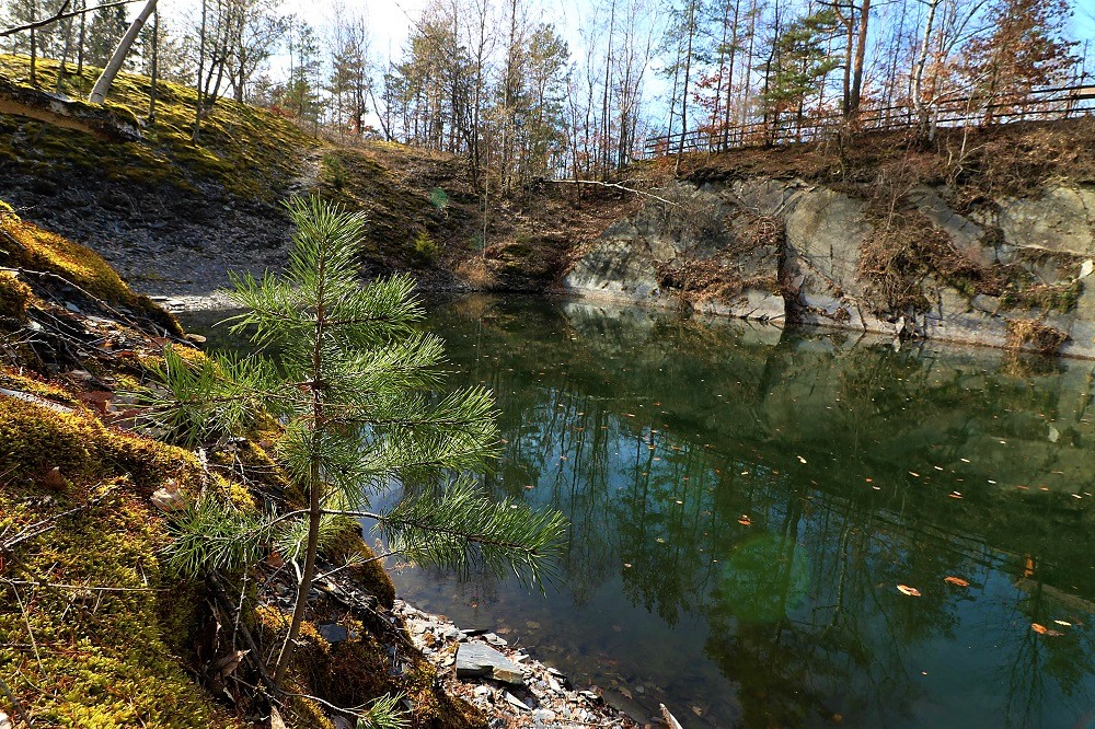 Krajina kamene a vody, kytek a stromů