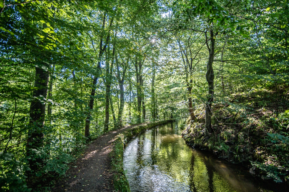 Weisshuhnův kanál